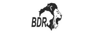 BDR Pharmaceuticals, Mumbai BDR Pharmaceuticals, Mumbai